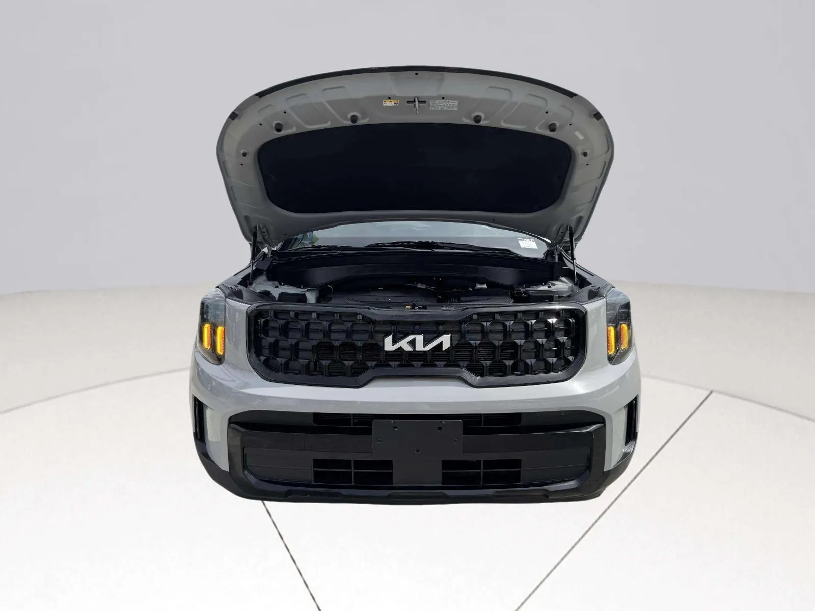 Kia Telluride photo 66