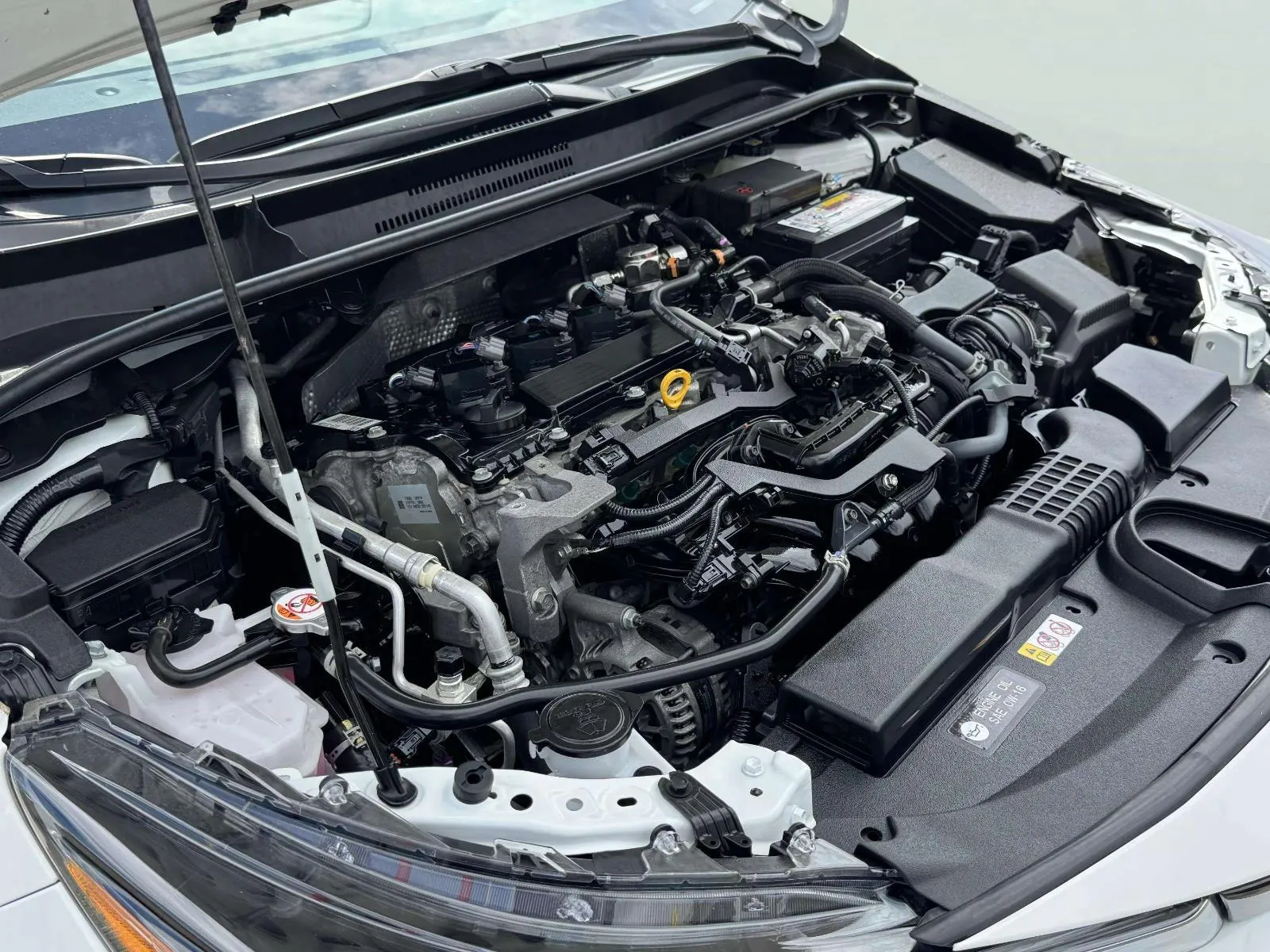 Toyota Corolla photo 80