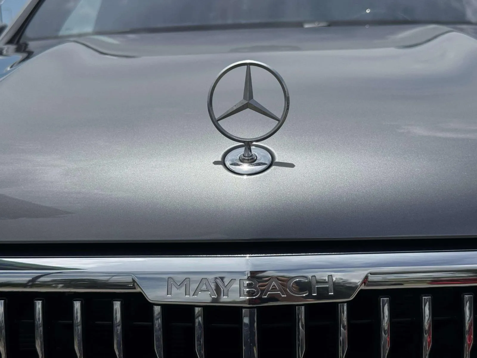 Mercedes-Benz GLS photo 15