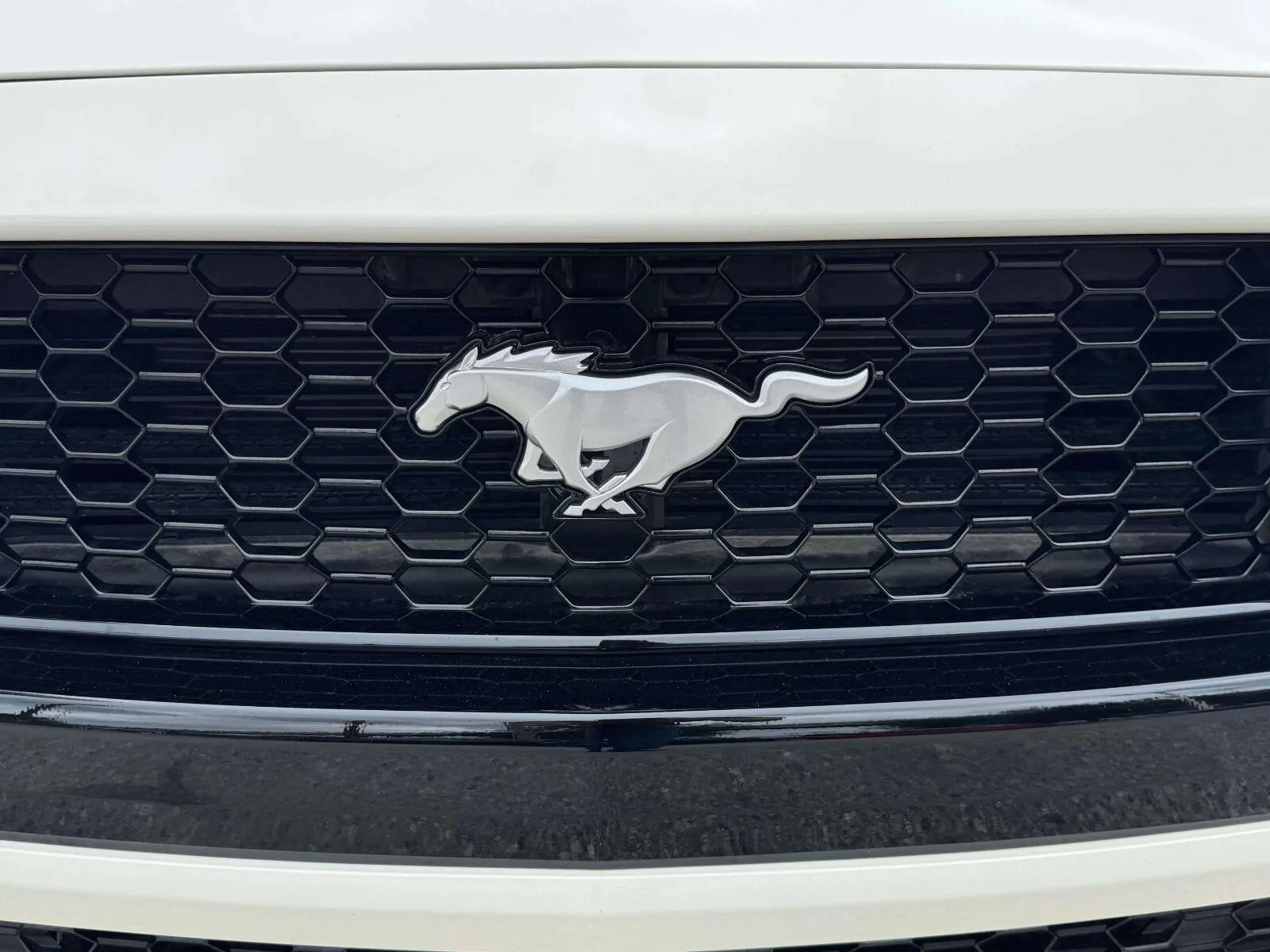 2025 Ford Mustang 13