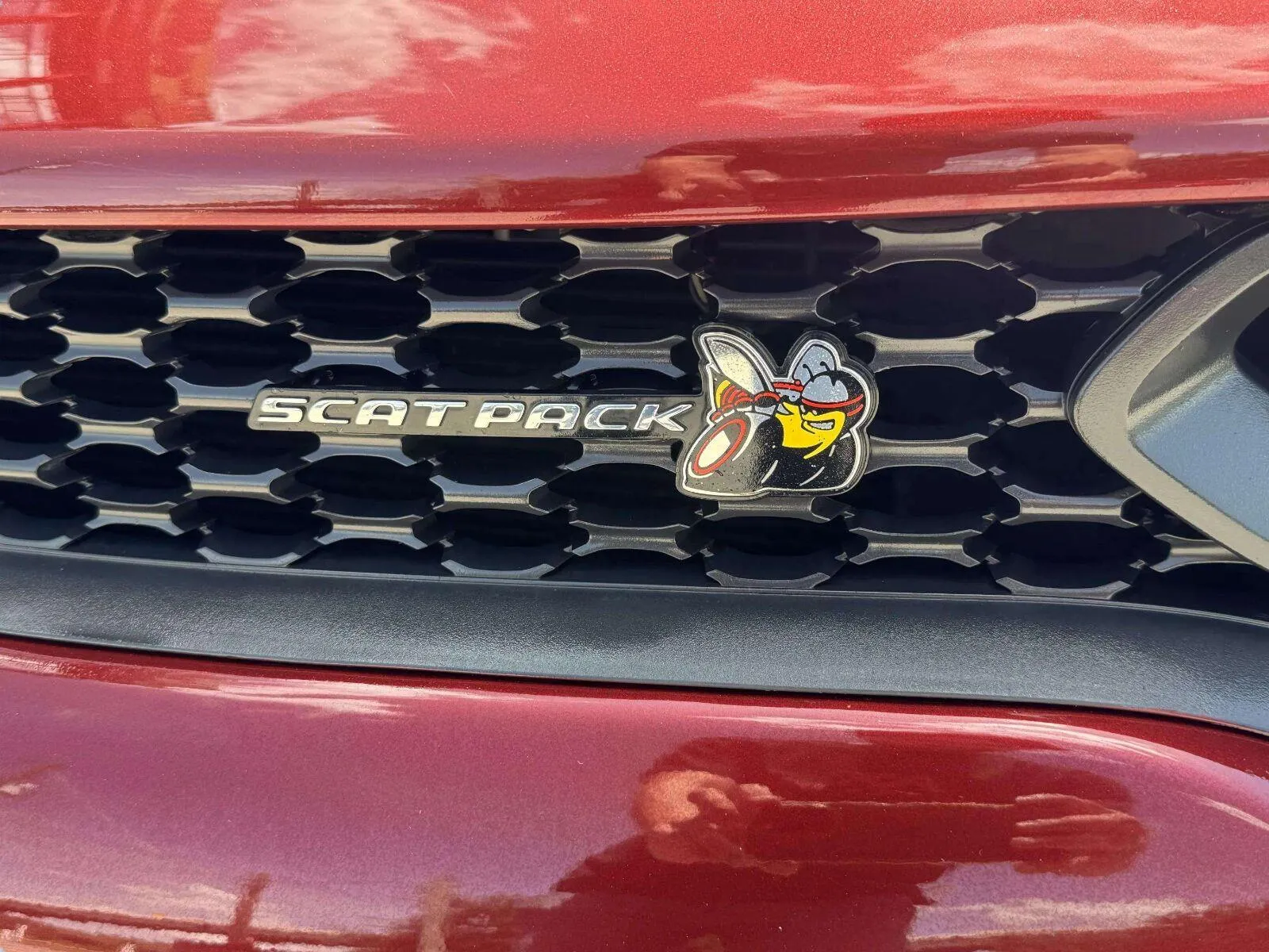 Dodge Charger photo 12