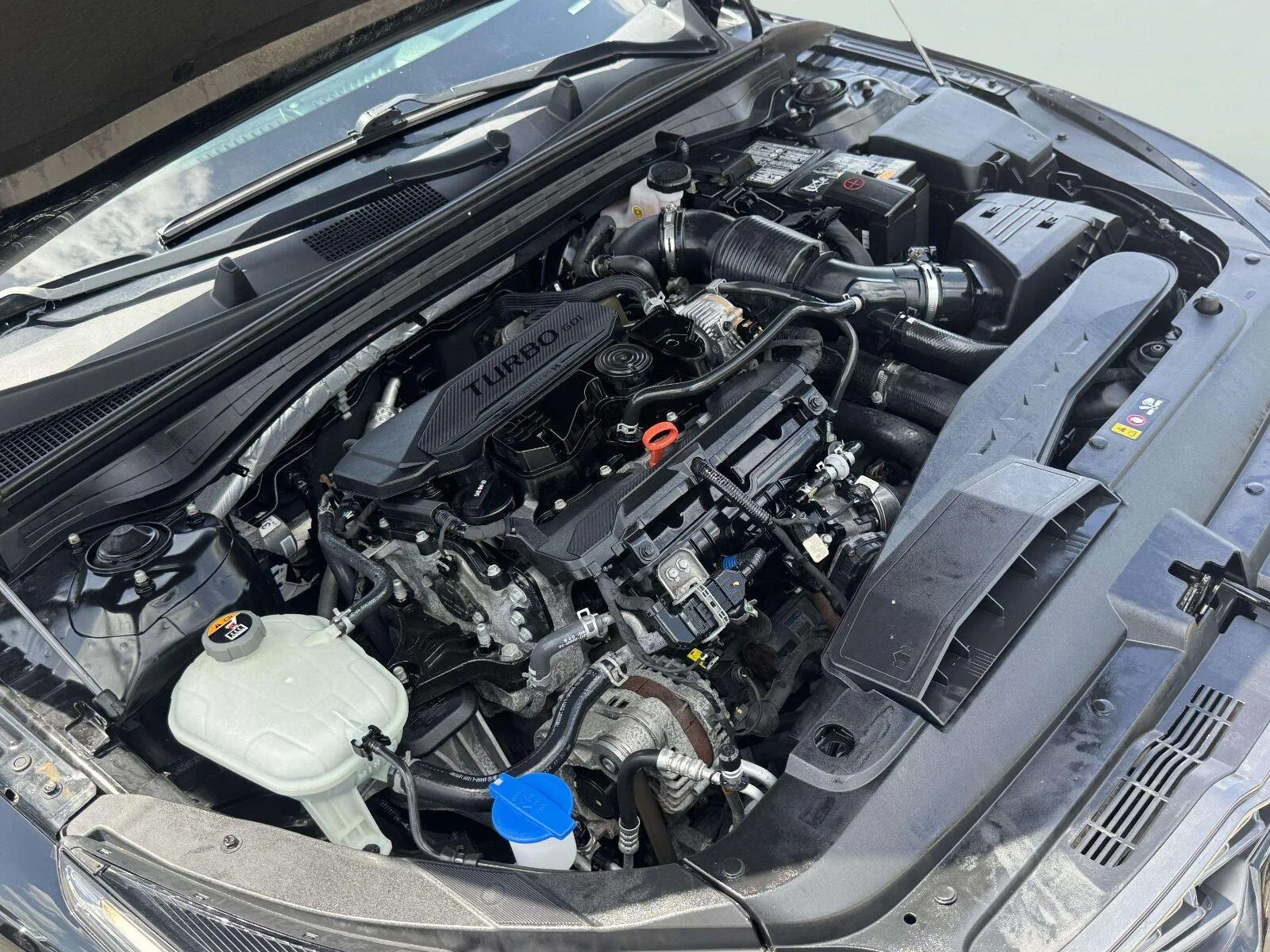 Kia K5 photo 61