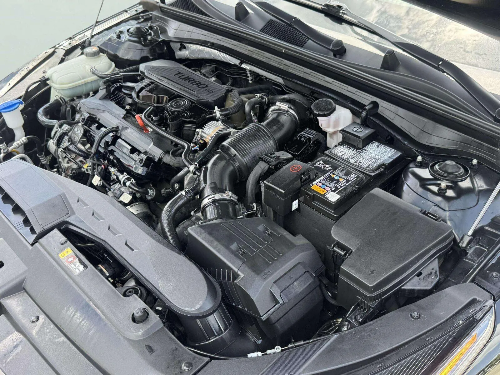 Kia K5 photo 62