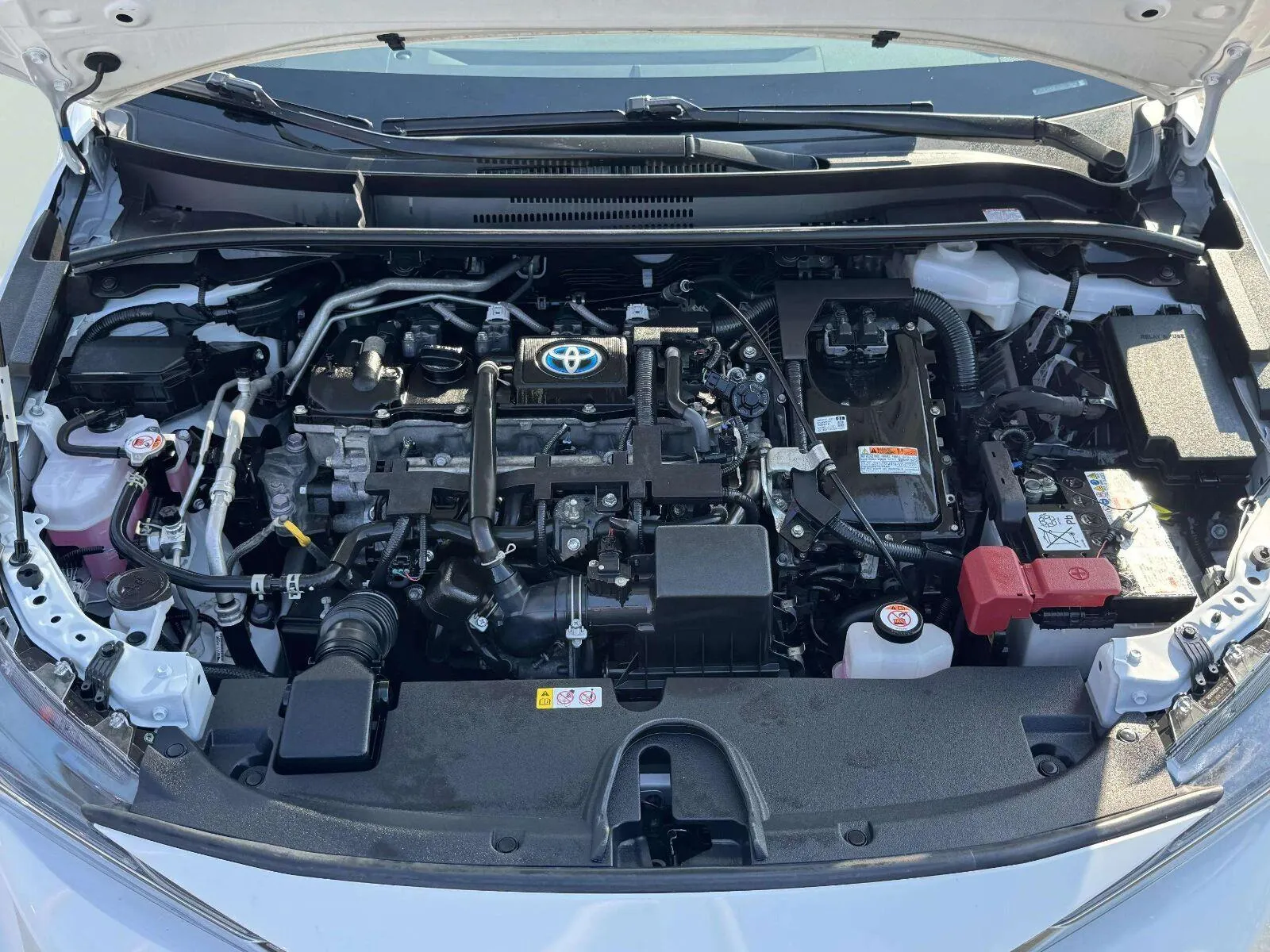 Toyota Corolla photo 62