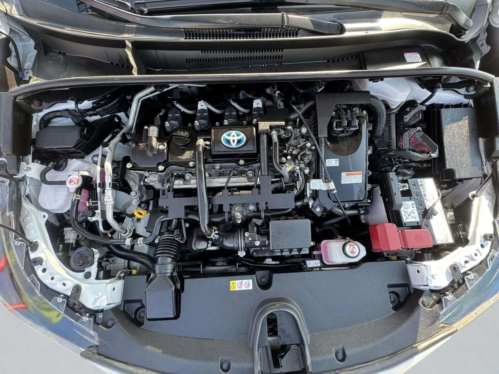 Toyota Corolla photo 65