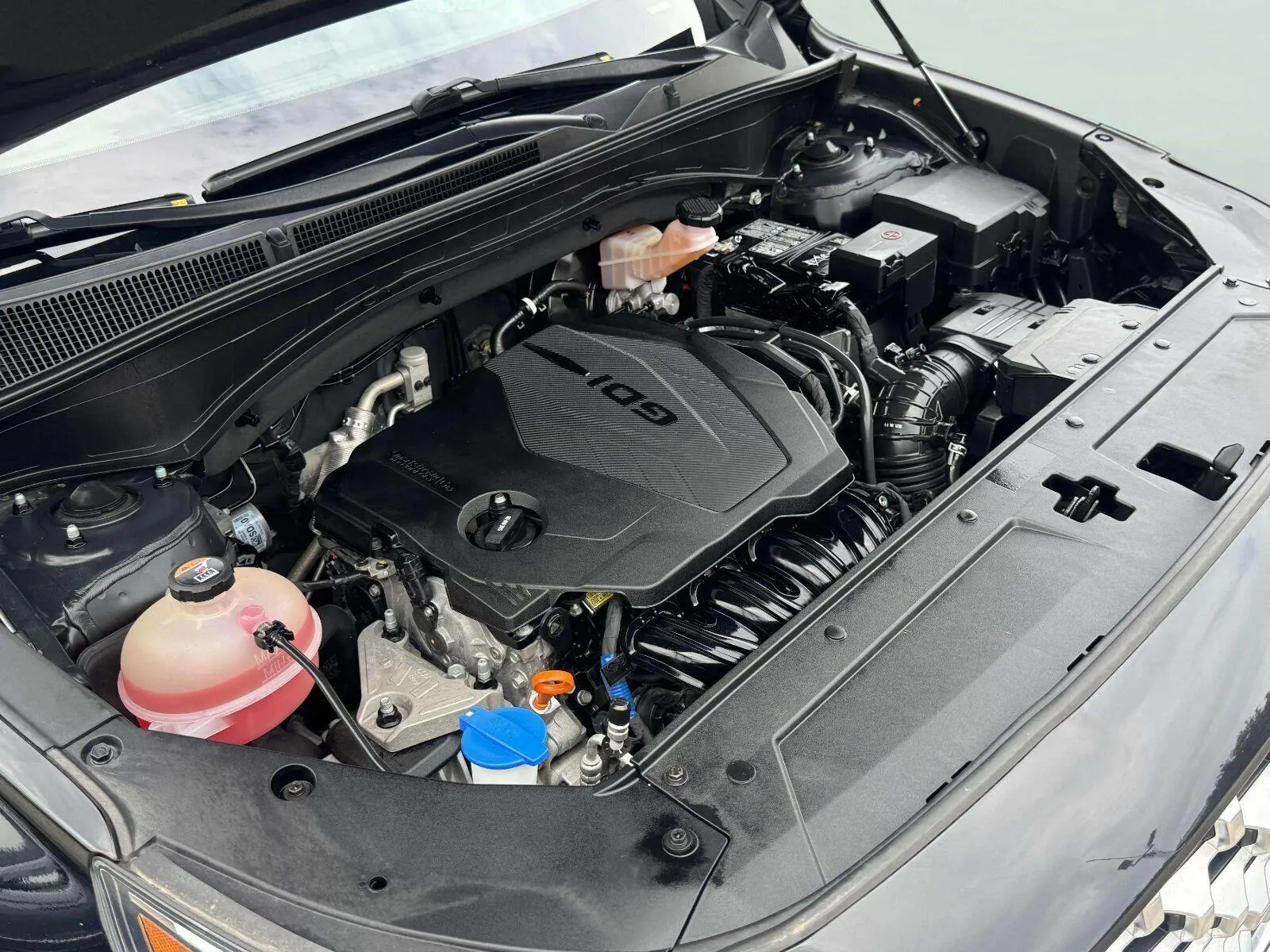 Hyundai Santa Fe photo 61