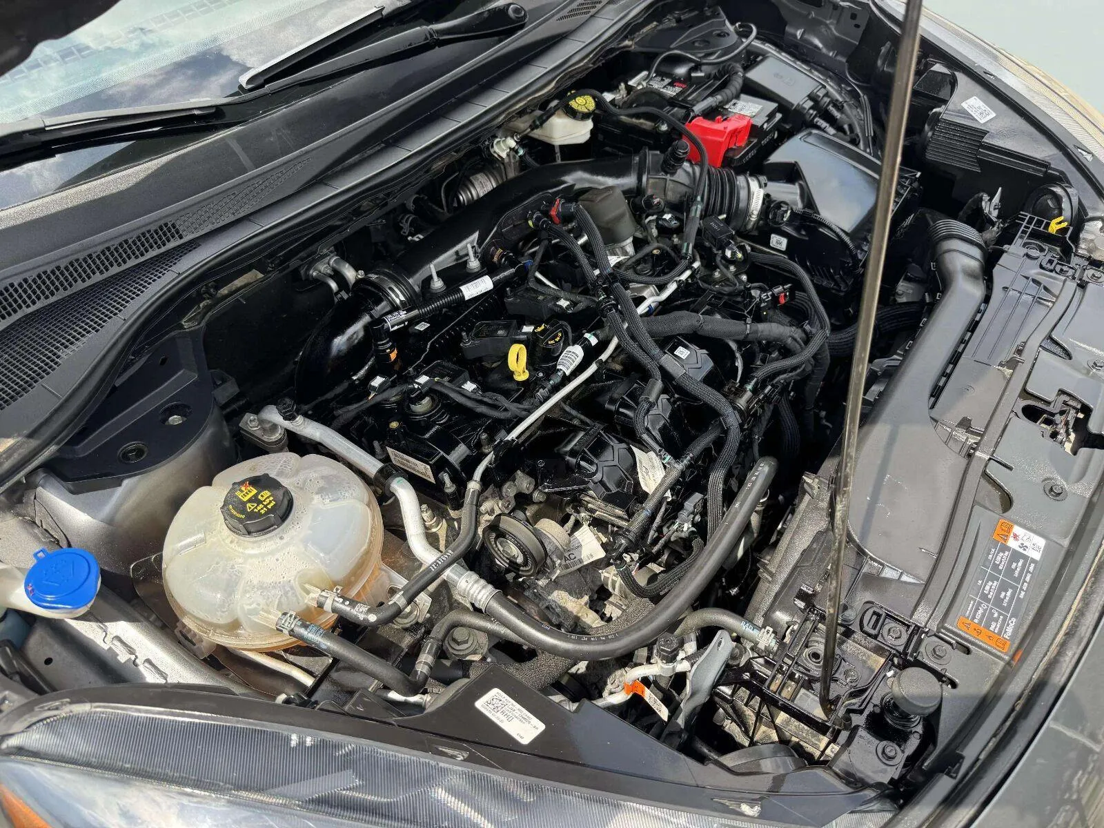 Ford Escape photo 50
