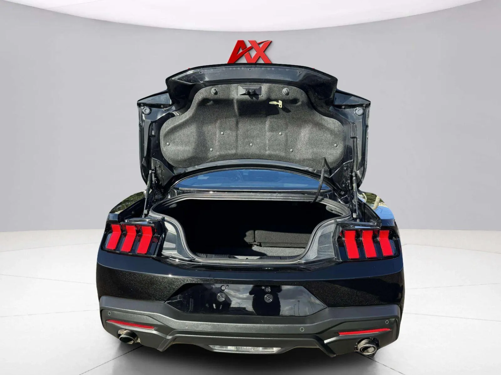 Ford Mustang photo 31