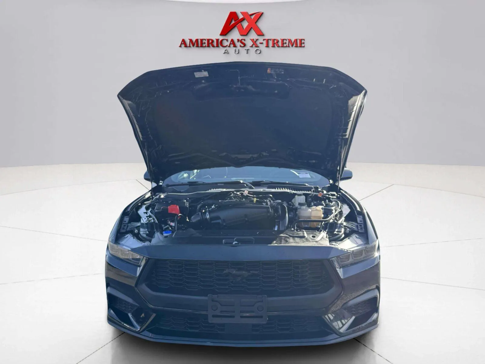 Ford Mustang photo 32