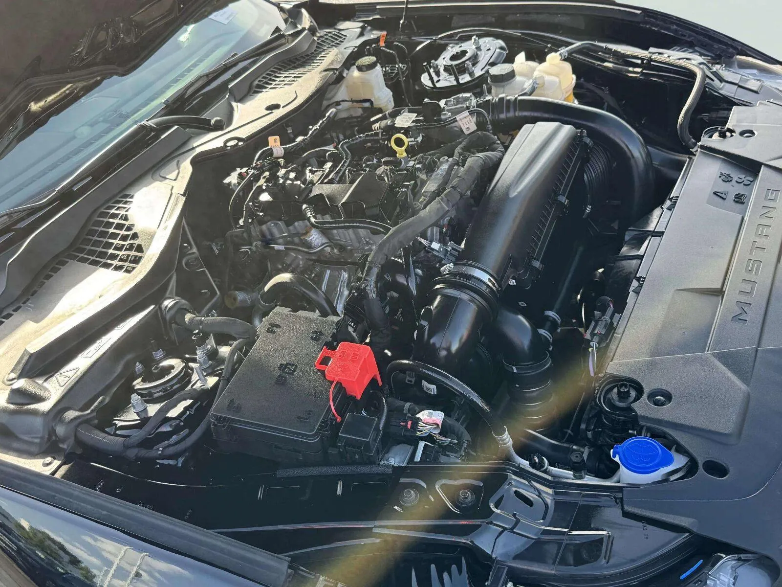 Ford Mustang photo 33