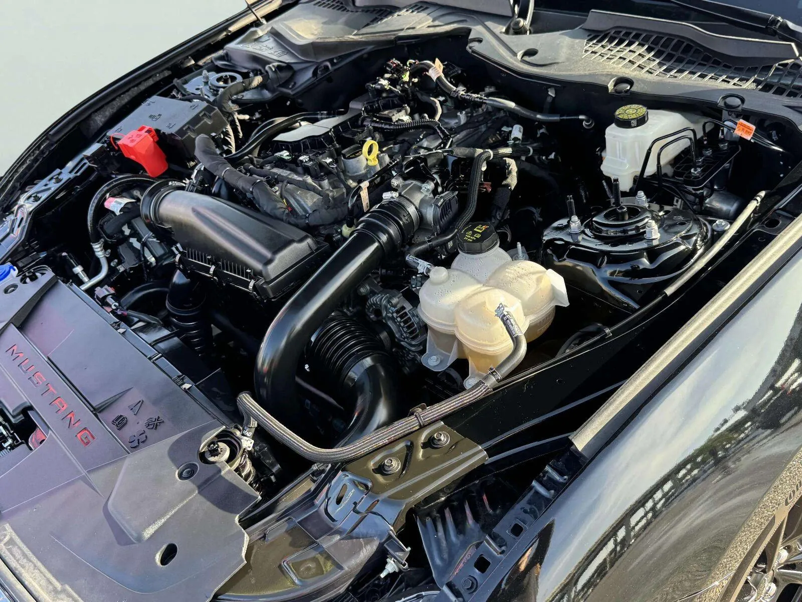 Ford Mustang photo 34