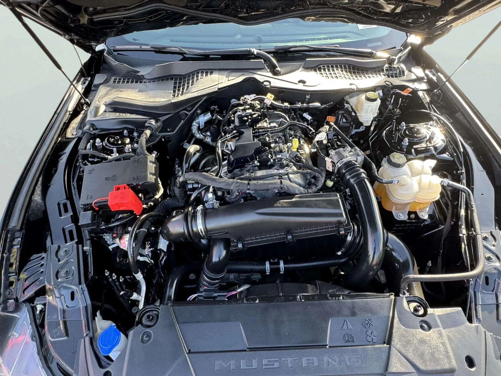 Ford Mustang photo 35