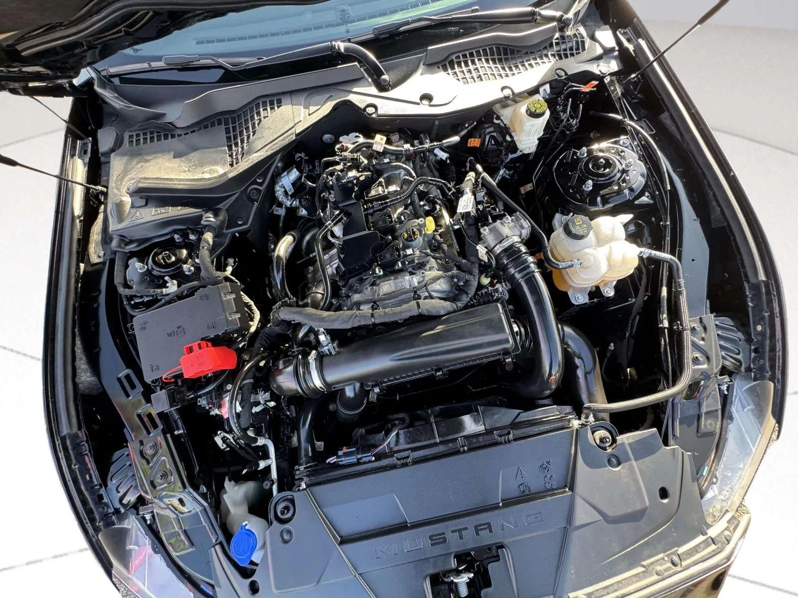 Ford Mustang photo 36