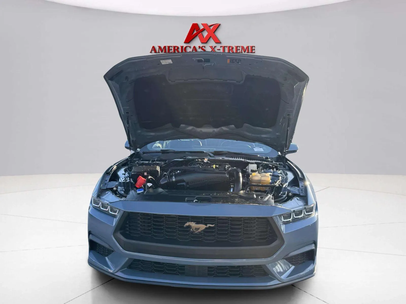 Ford Mustang photo 40