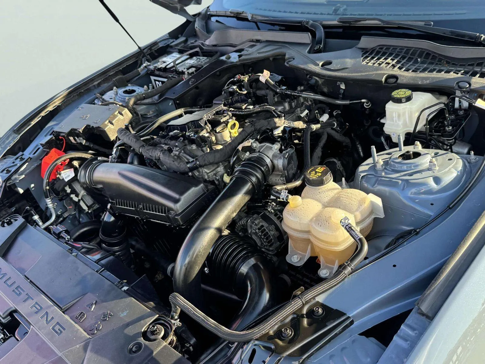 Ford Mustang photo 42