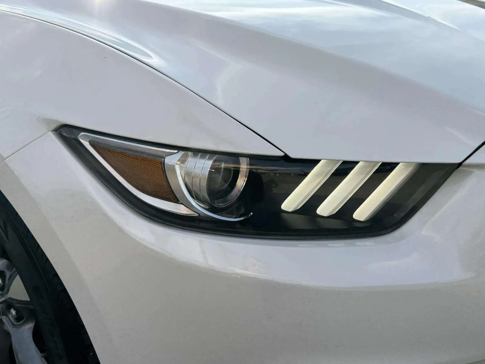 Ford Mustang photo 11