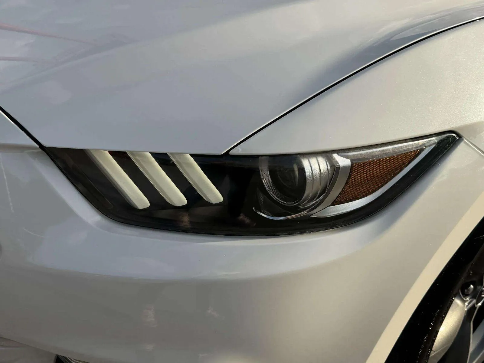 Ford Mustang photo 12