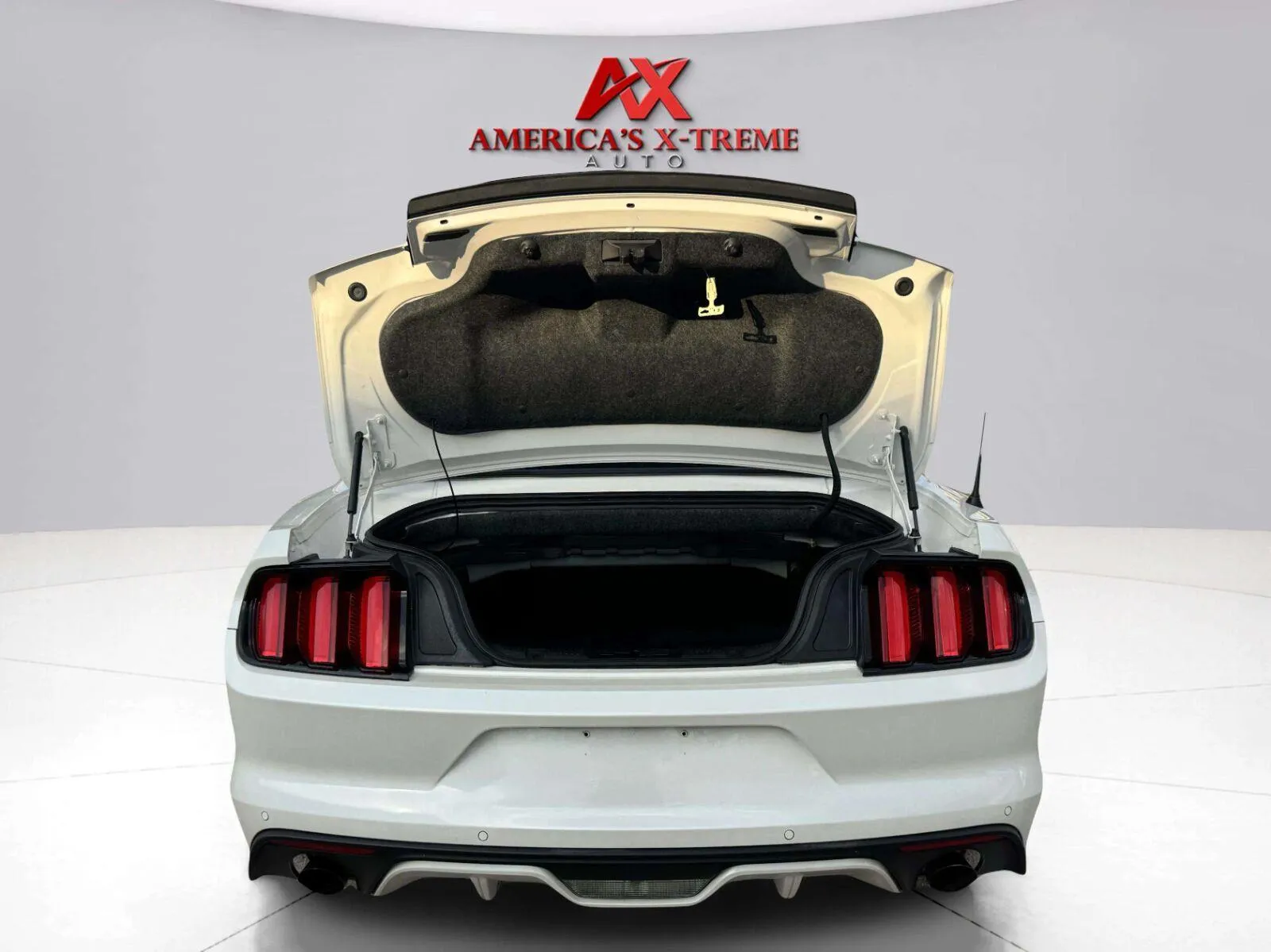 Ford Mustang photo 46