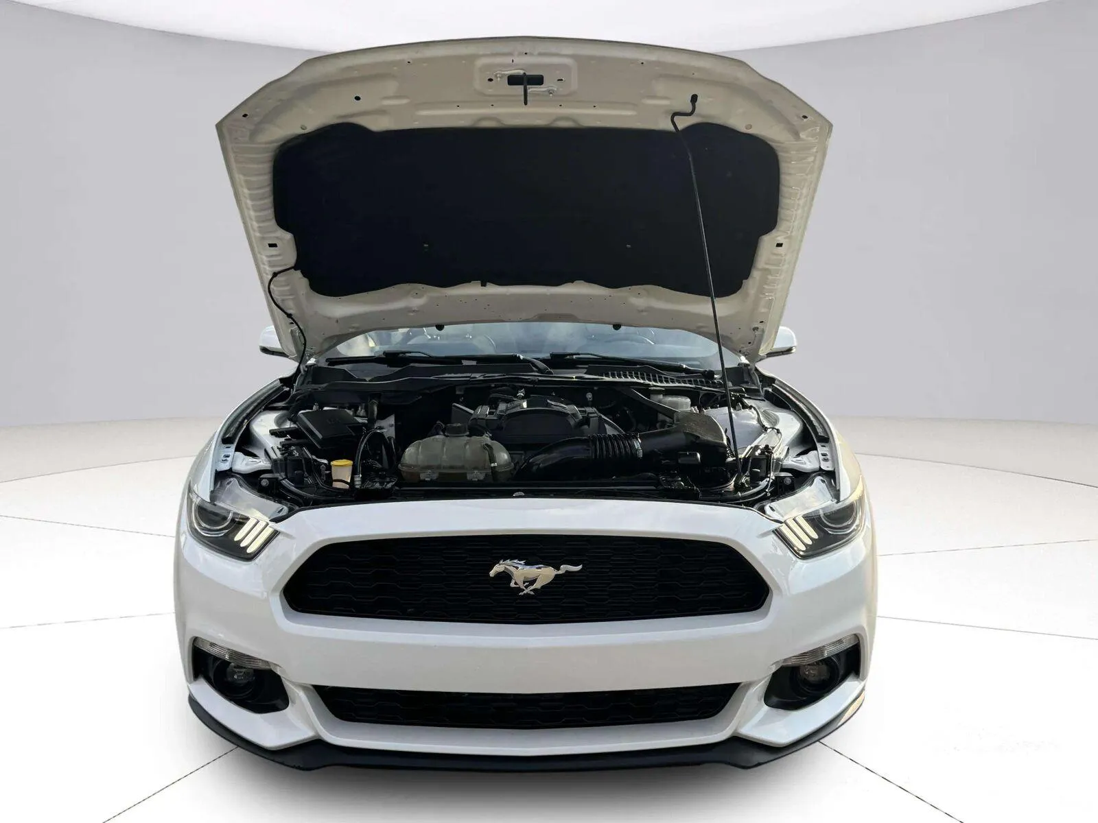 Ford Mustang photo 51