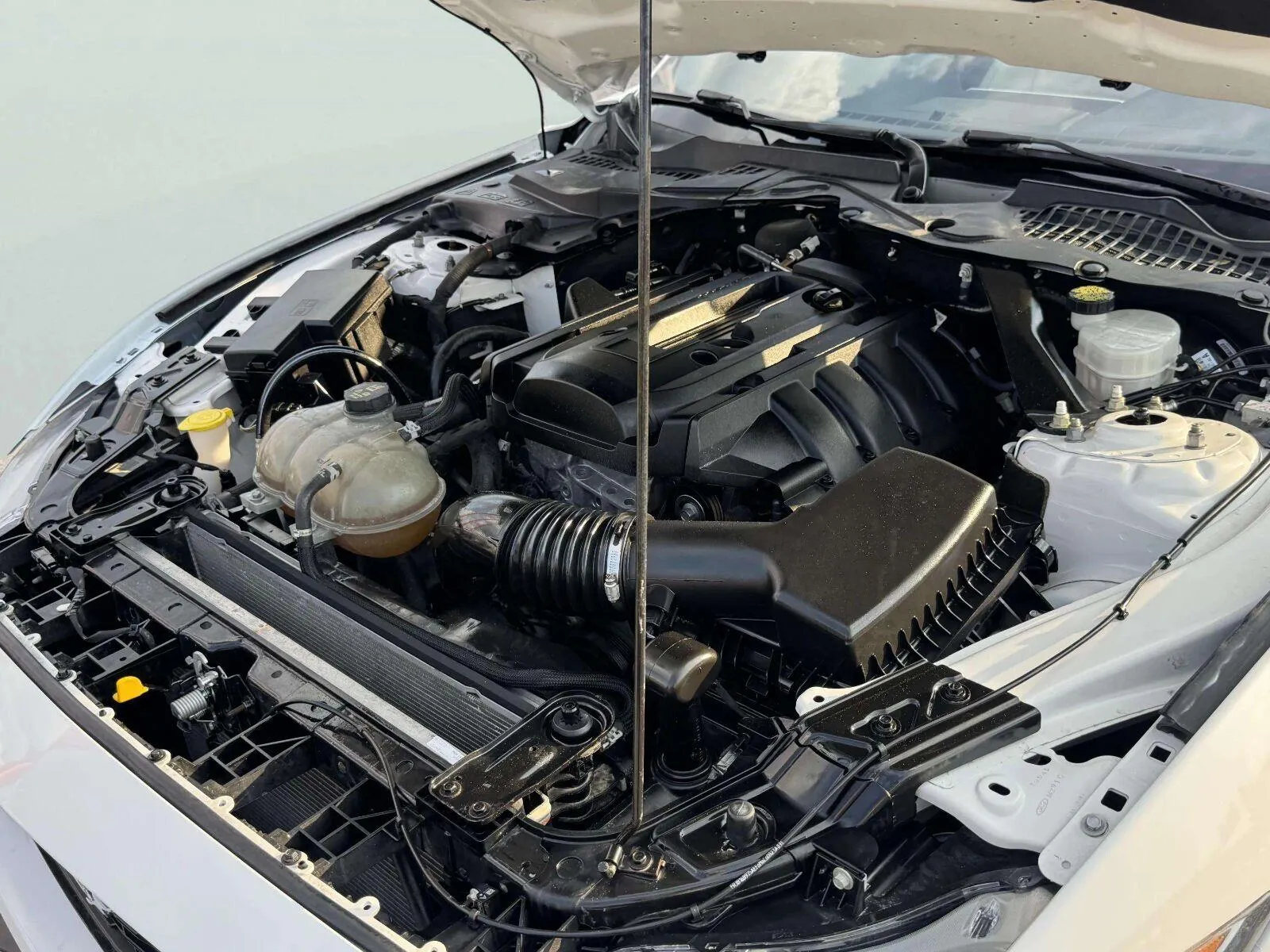 Ford Mustang photo 53