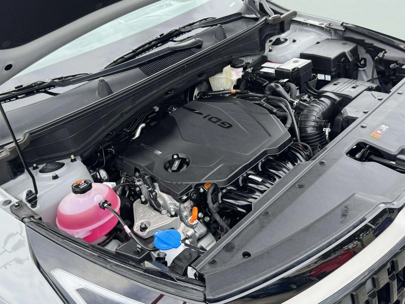 Kia Sportage photo 52