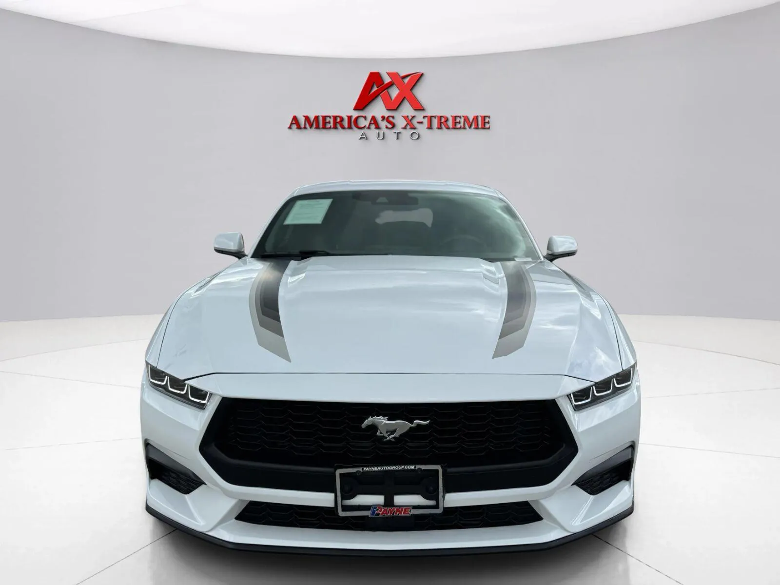 Ford Mustang photo 9