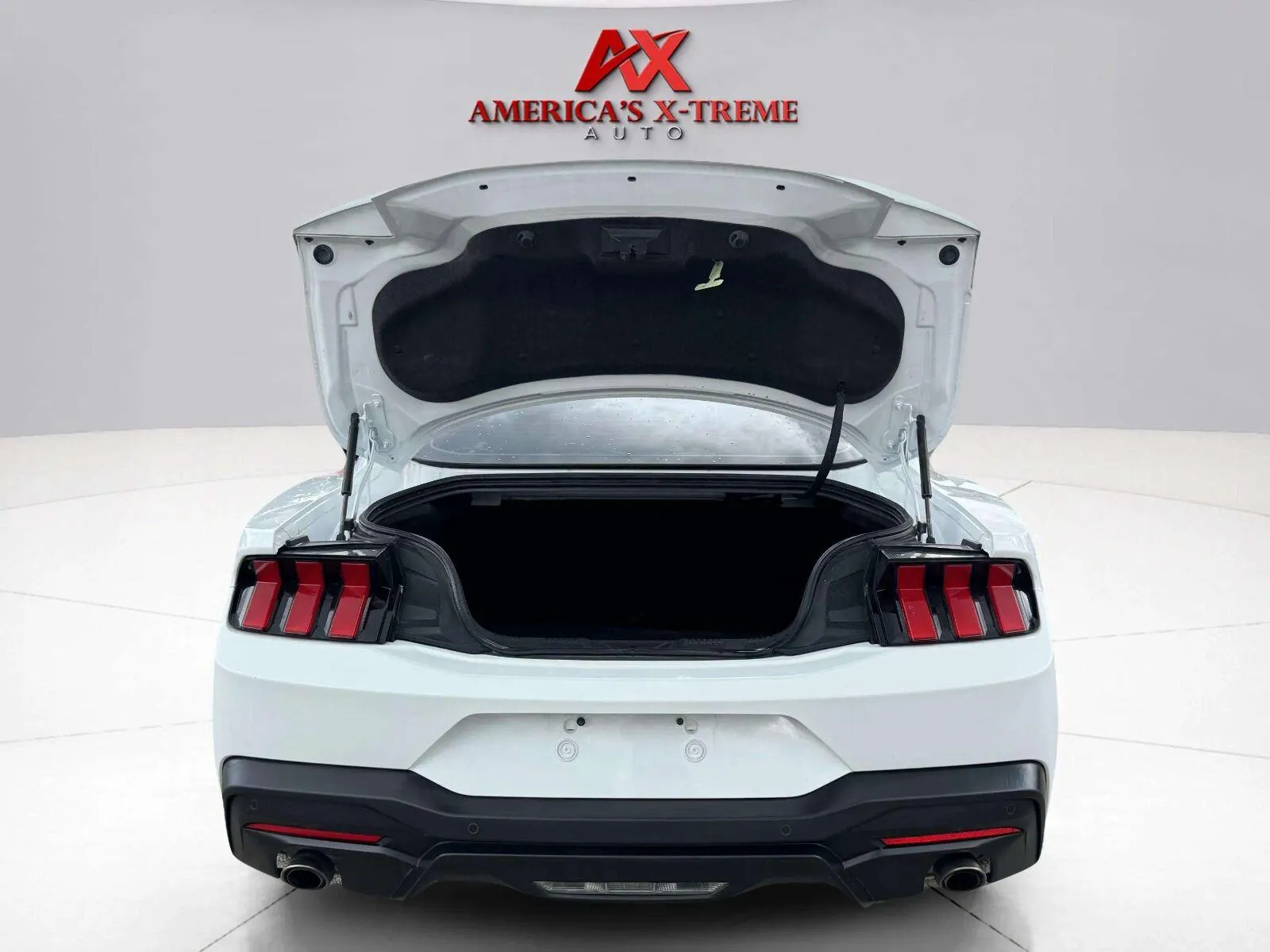 Ford Mustang photo 30