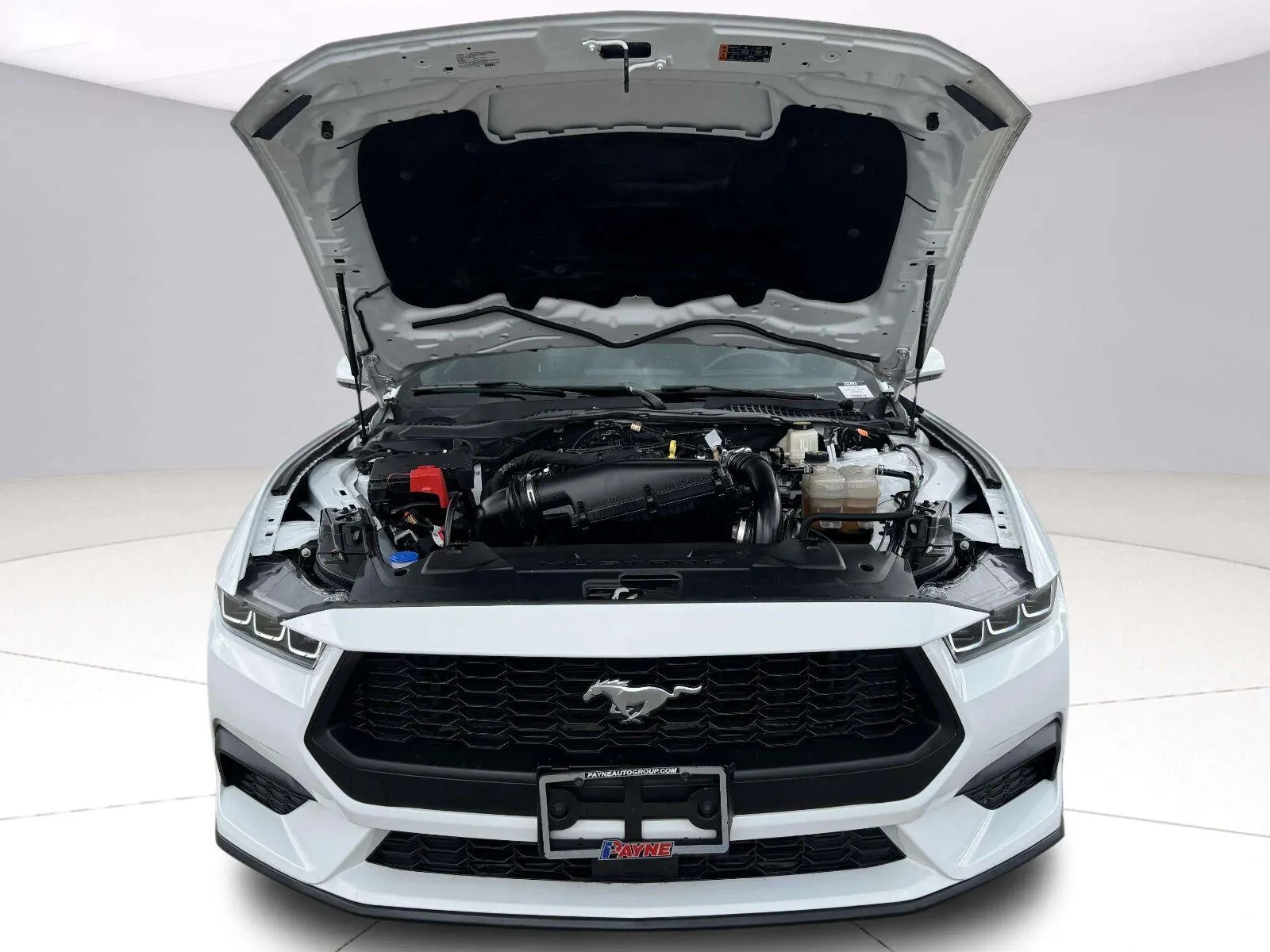 Ford Mustang photo 35