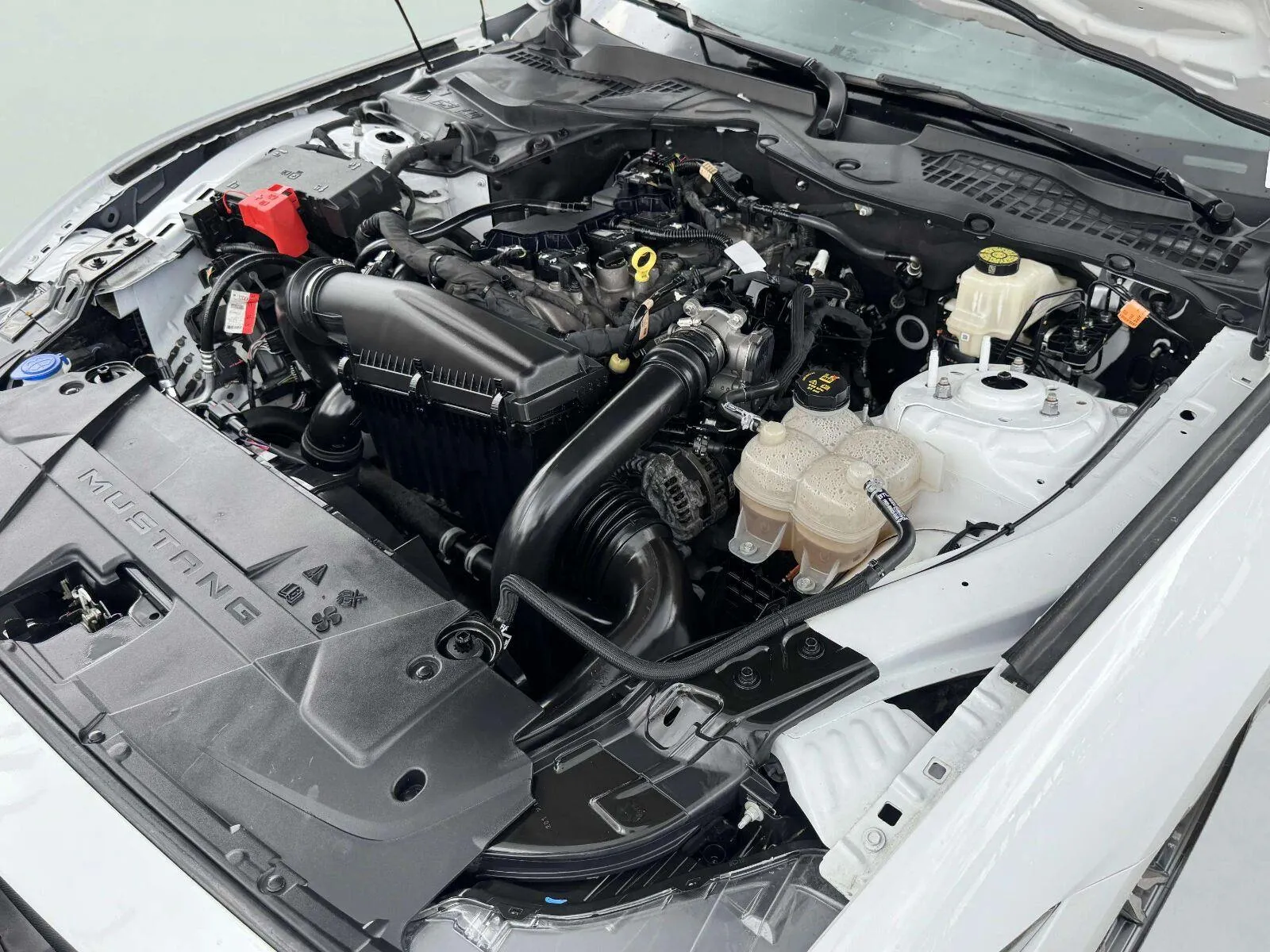 Ford Mustang photo 37