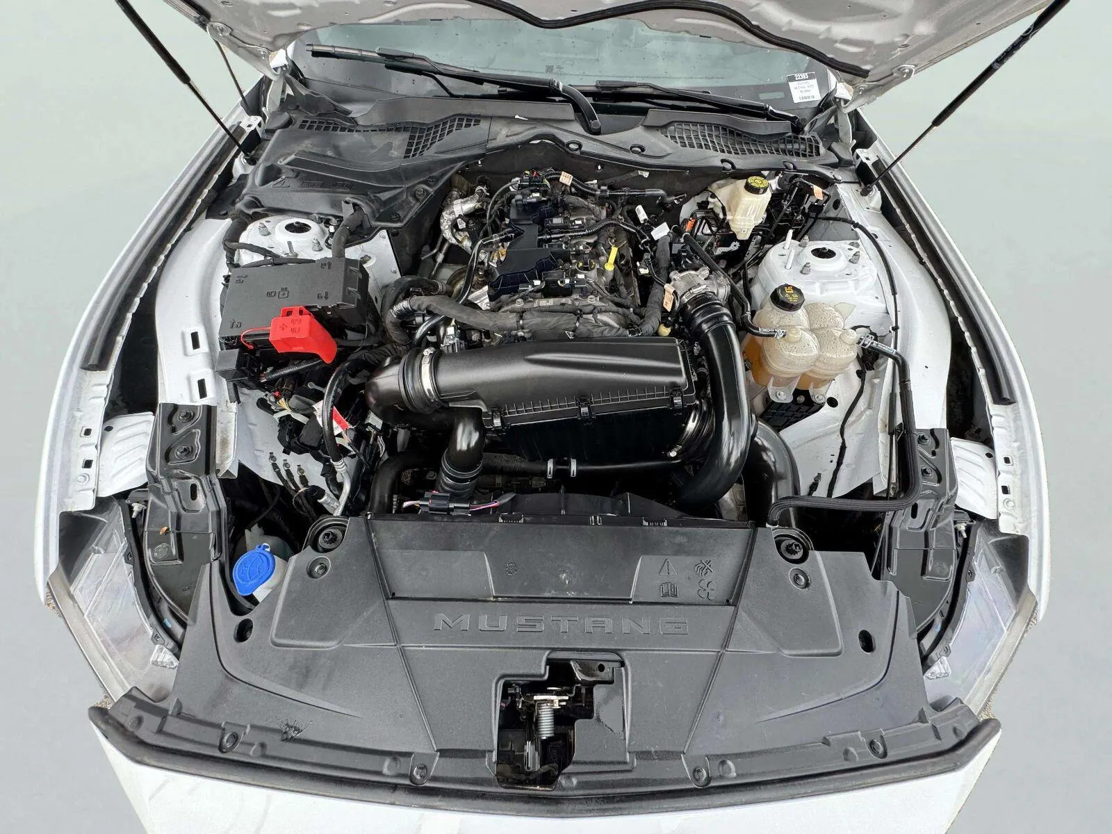 Ford Mustang photo 38