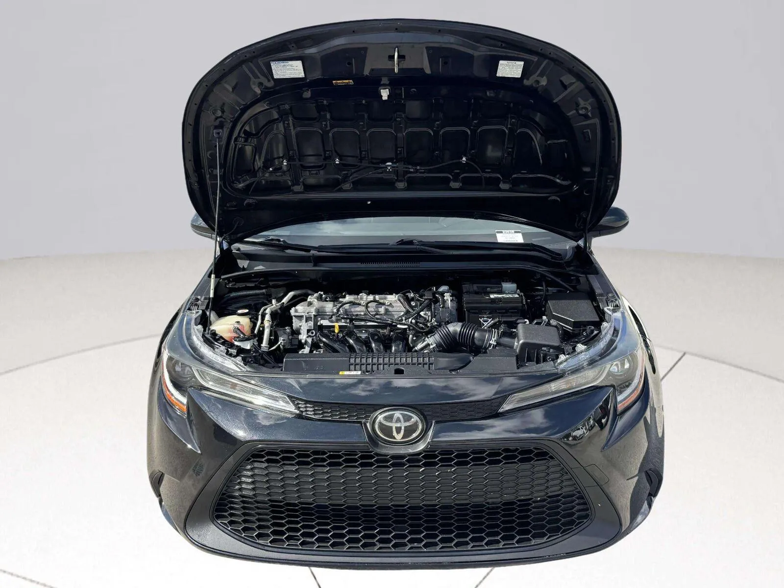 Toyota Corolla photo 48
