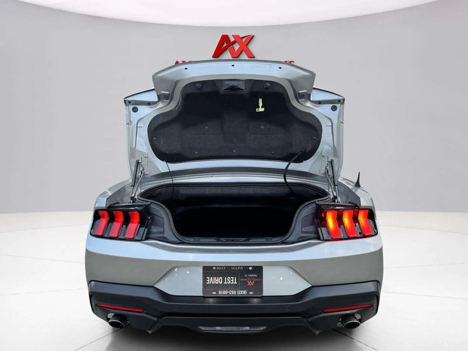 Ford Mustang photo 40
