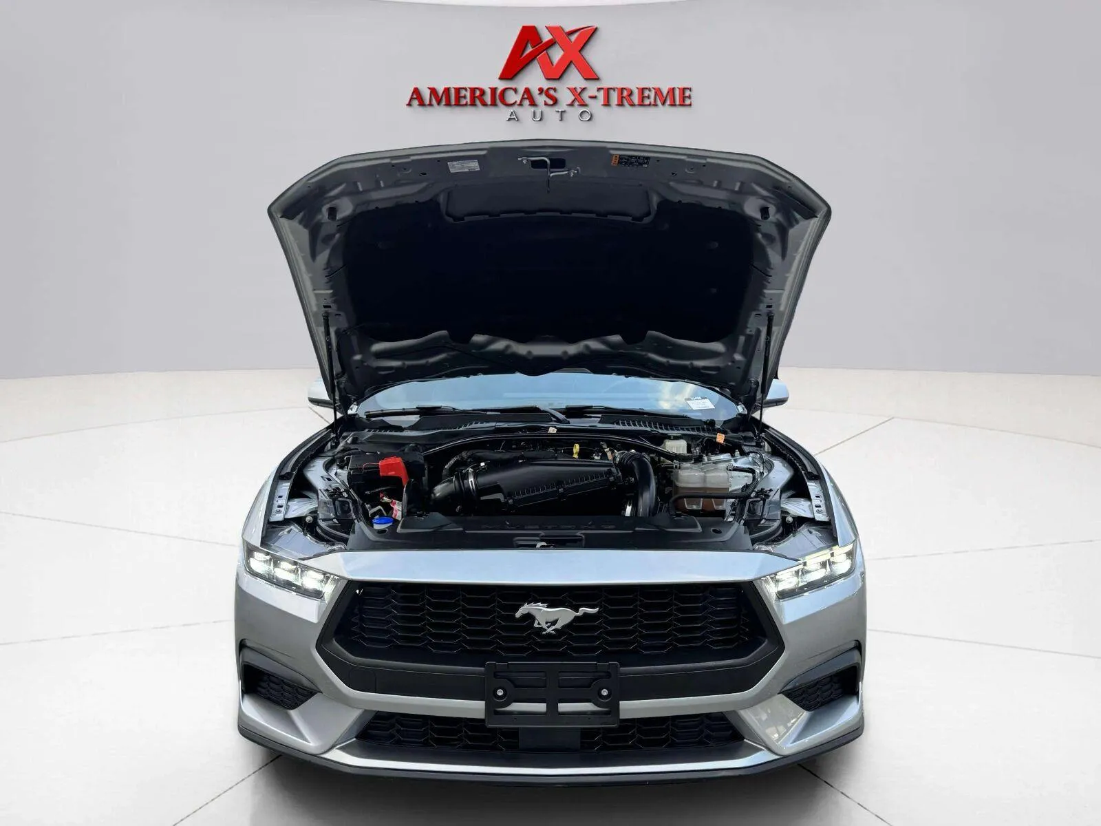 Ford Mustang photo 45