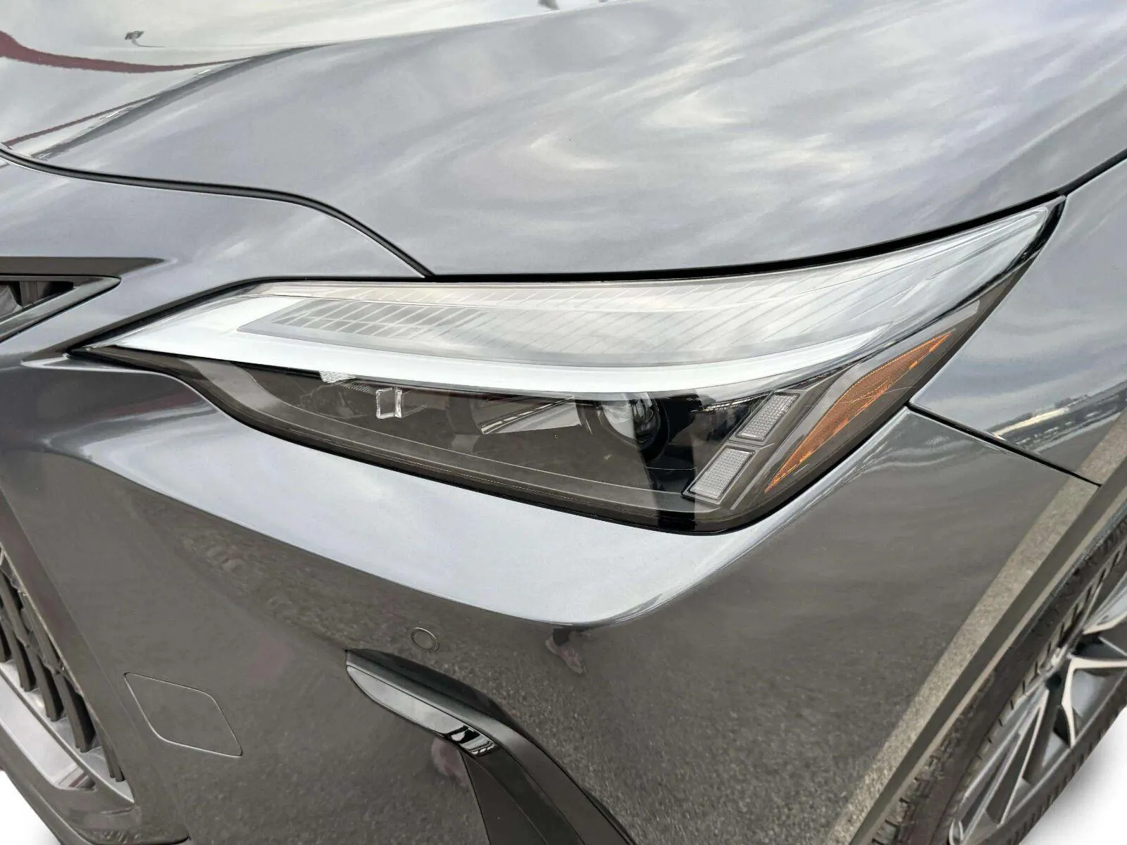 Lexus NX photo 12