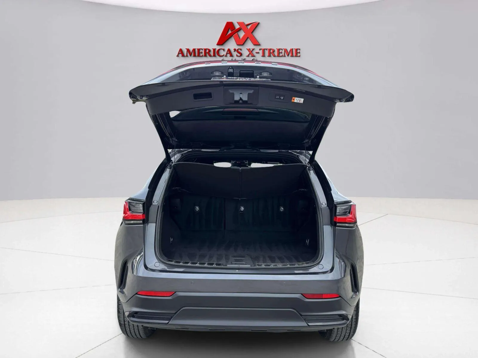 Lexus NX photo 46