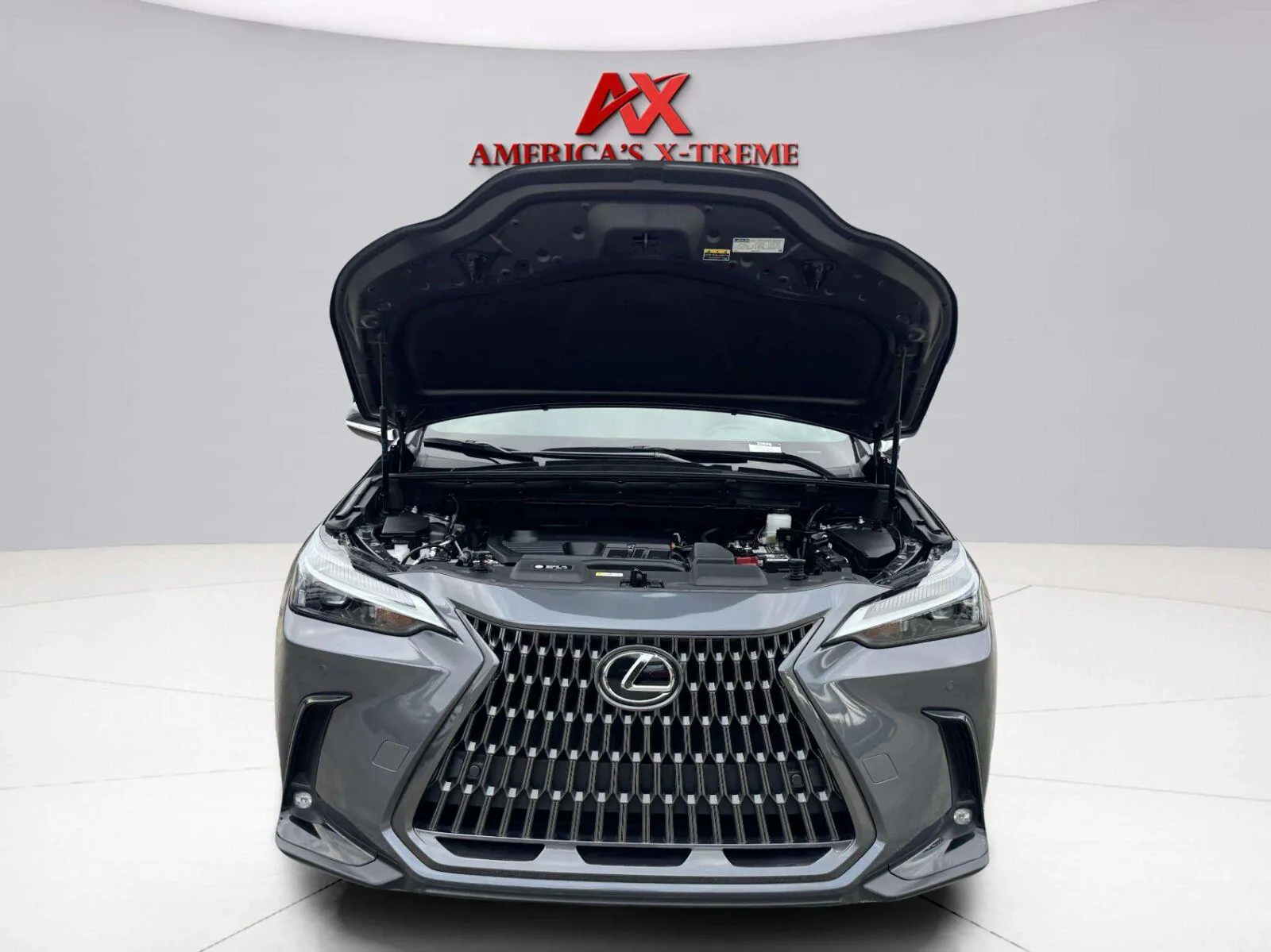 Lexus NX photo 51