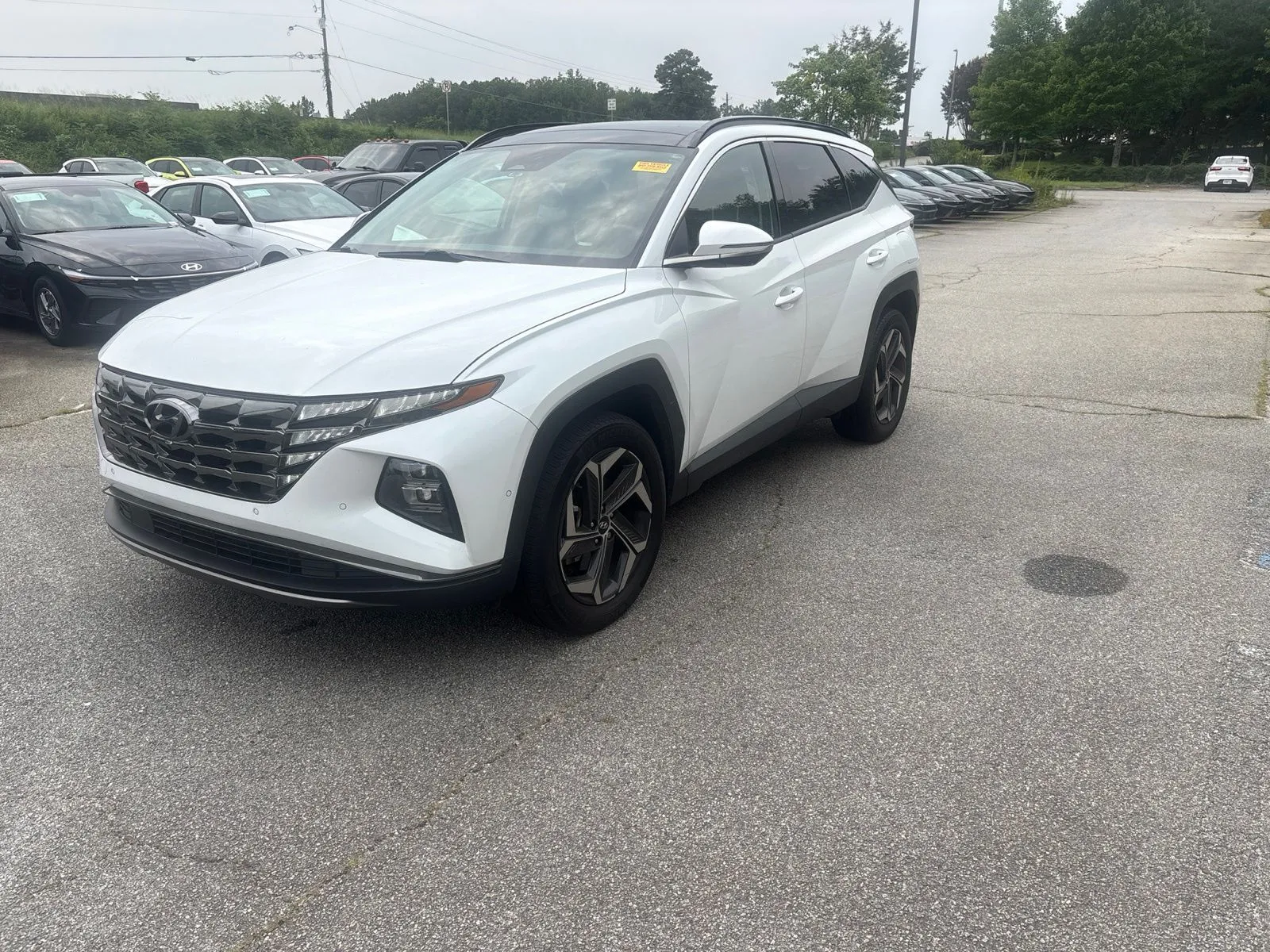 White 2024 Hyundai Tucson Hybrid Limited for sale in Lithia Springs, GA
