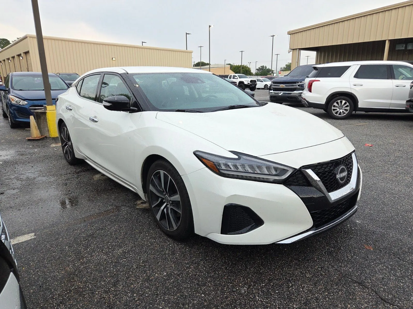 White 2023 Nissan Maxima SV for sale in Warner Robins, GA