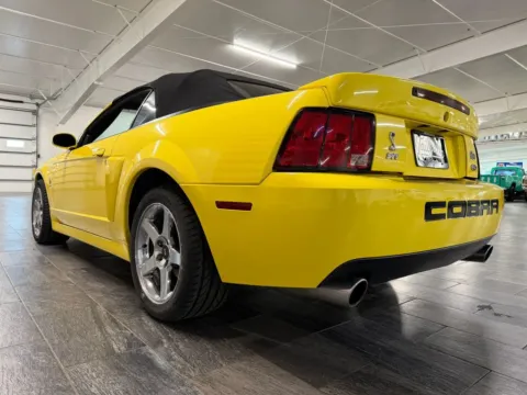 More photos of 2003 Ford Mustang Cobra Convertible 2D at Tailgate Motor Co. (Fremont North), NE