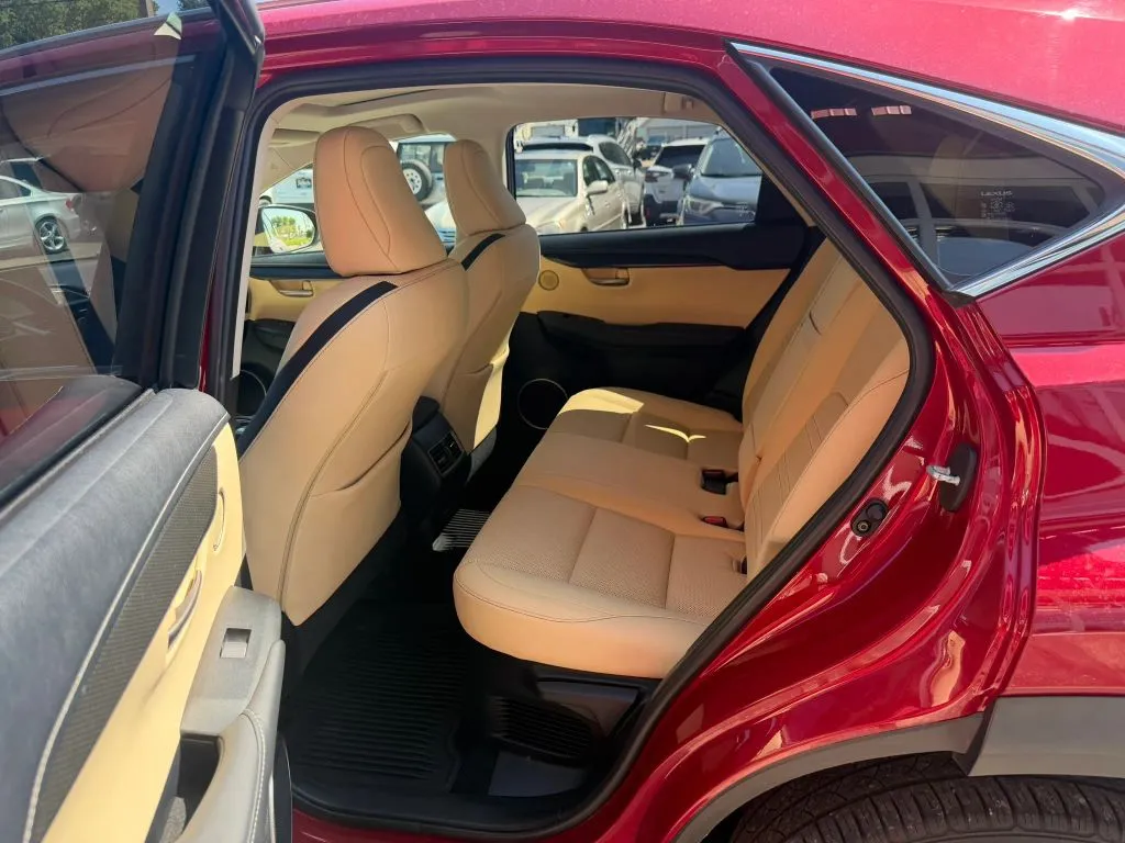 Lexus NX photo 12