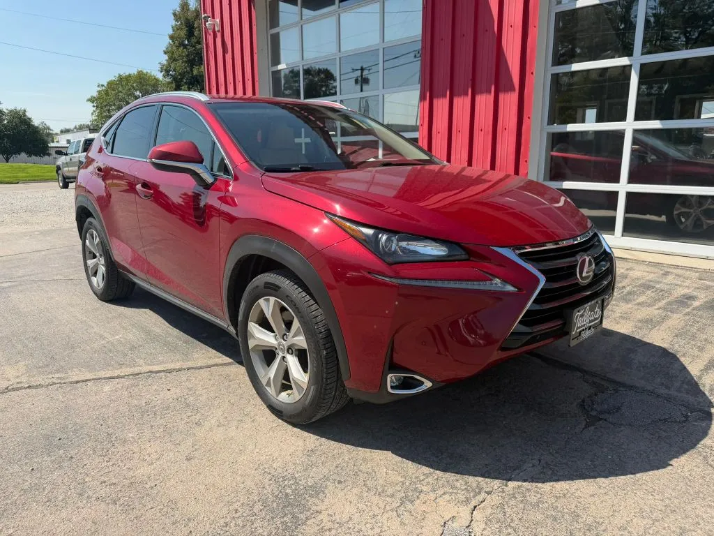 Lexus NX photo 2