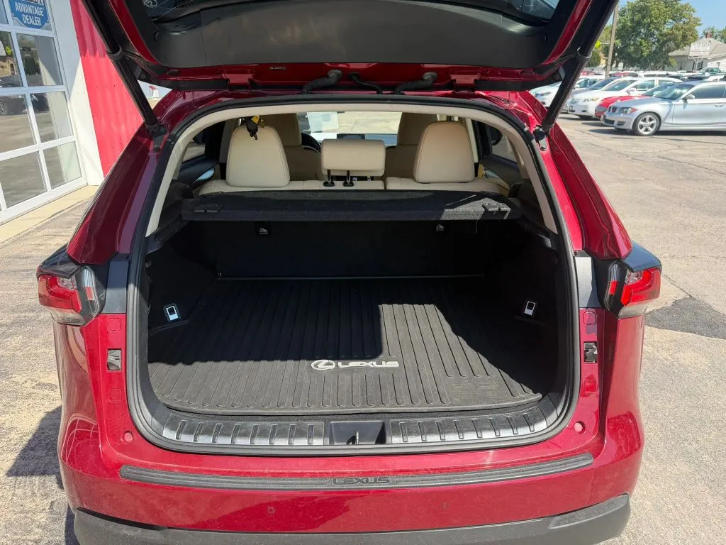 Lexus NX photo 8