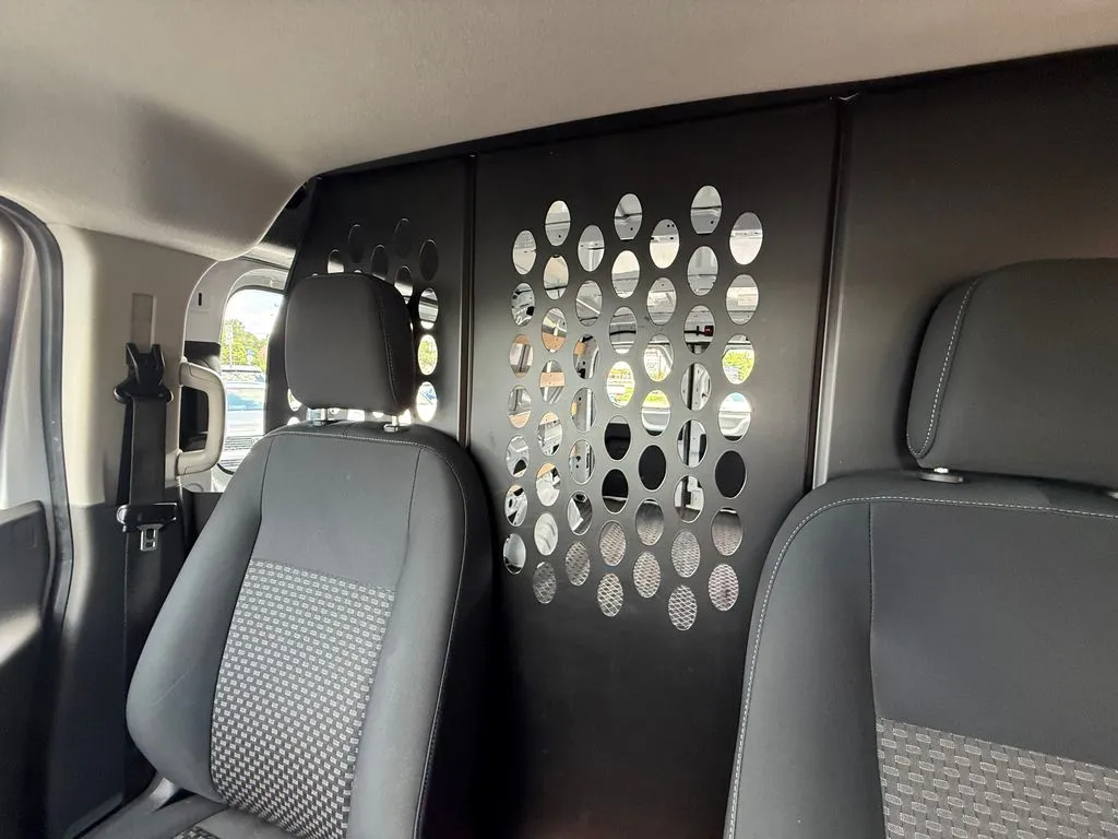Ford Transit-250 photo 30