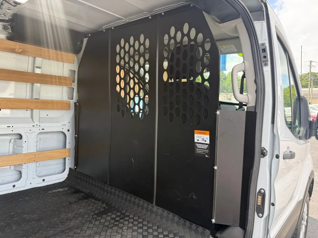 Ford Transit-250 photo 17