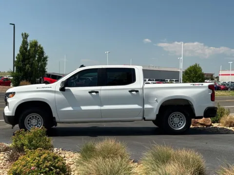 More photos of 2024 Chevrolet Silverado 1500 4WD Crew Cab Short Bed WT at Red's Auto & Truck, CO