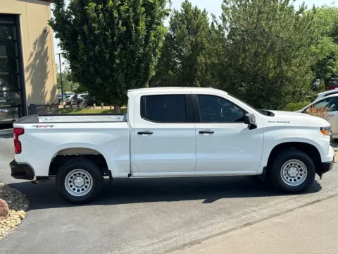 Another view of 2024 Chevrolet Silverado 1500 4WD Crew Cab Short Bed WT for sale in Longmont, CO at Red's Auto & Truck
