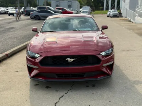 Another view of 2019 Ford Mustang EcoBoost for sale in Crestwood, KY at Glenn Chrysler Dodge Jeep Ram