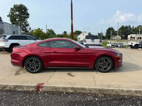 More photos of 2019 Ford Mustang EcoBoost at Glenn Chrysler Dodge Jeep Ram, KY