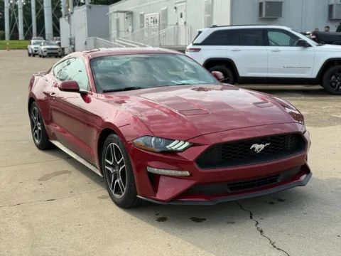 More photos of 2019 Ford Mustang EcoBoost at Glenn Chrysler Dodge Jeep Ram, KY