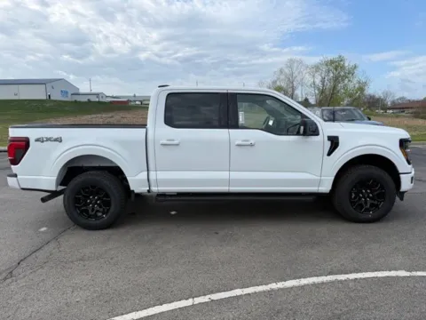 More photos of 2026 Ford F-150 XLT at Tri-State Ford, MO